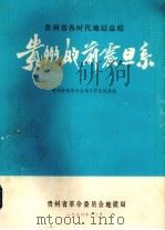 贵州的前震旦系 1976 PDF电子版封面 贵州省地层古生物工作队地层组编