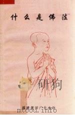 什么是佛法（ PDF版）