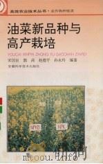 油菜新品种与高产栽培（1993 PDF版）