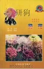 菊花（1999 PDF版）