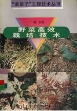 野菜高效栽培技术（1998 PDF版）