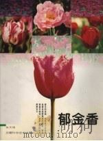 郁金香 1999 PDF电子版封面 7533717937 朱天明著