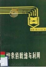 柠条的栽培与利用（1988 PDF版）