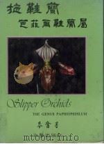 拖鞋兰之芭菲尔鞋兰属（1987 PDF版）