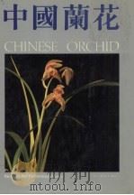 中国兰花 图集 2 1991 PDF电子版封面 754100684X 何清正主编