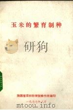 玉米的繁育制种（1977 PDF版）