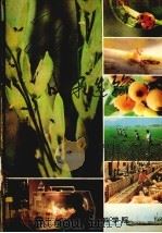 二十年成果选编 1960-1980 1980 PDF电子版封面 福建省农业科学院编