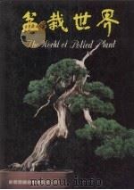 盆栽世界（ PDF版）