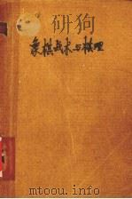 象棋战术与棋理（1994 PDF版）