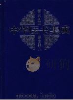 中华医书集成  第29册  综合类  8   1999  PDF电子版封面  7800138372  何清湖主编 