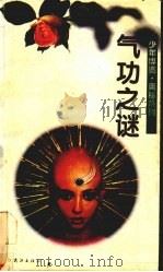 气功之迷（1994 PDF版）