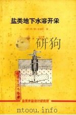 盐类地下水溶开采（ PDF版）