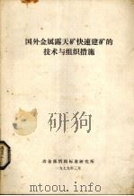 国外金属露天矿快速建矿的技术与组织措施 1979 PDF电子版封面 冶金部情报标准研究所编辑
