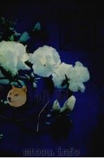 花海艺苑（1981 PDF版）