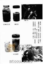 药酒制作法（1986 PDF版）