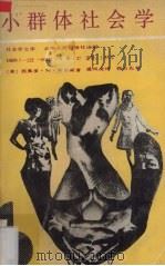 小群体社会学（1988 PDF版）