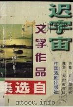 迟宇宙文学作品自选集（1997 PDF版）