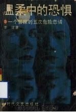 温柔中的恐惧 一个警探的五次奇遇 1993 PDF电子版封面 7538706089 李健著