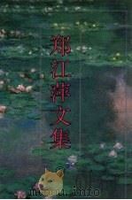 郑江萍文集  3（1996 PDF版）