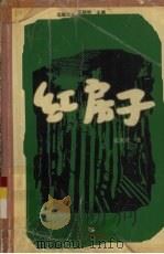 红房子（1999 PDF版）