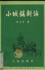小城镇新论（1994.8 PDF版）