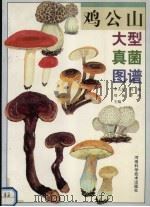 鸡公山大型真菌图谱 1997 PDF电子版封面 7534919525 李天煜等主编