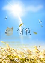 英语专业八级翻译指南（ PDF版）