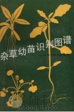 杂草幼苗识别图谱（1989 PDF版）