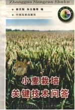 小麦栽培关键技术问答 1998 PDF电子版封面 7109049337 郭天财,朱云集等编