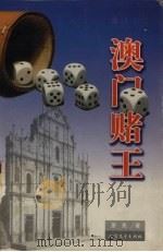 澳门赌王 1999 PDF电子版封面 7531711141 萧亮著