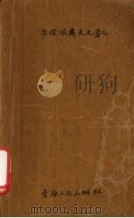 为你收藏片片真心（1995 PDF版）