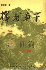 挥戈南下 1992 PDF电子版封面 7219020864 欧致富著