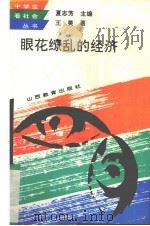 眼花缭乱的经济 1994 PDF电子版封面 754400516X 王昊著
