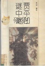 贾平凹谜中谜（1994 PDF版）