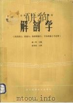 解剖学（1985.10 PDF版）