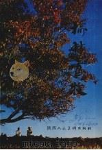榆林畜牧（1984 PDF版）
