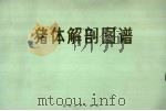 猪体解剖图谱（1978 PDF版）