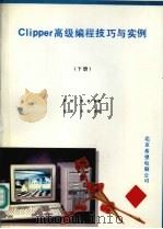 Clipper高级编程技巧与实例  下（ PDF版）