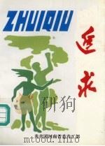 追求：来自中原油田团的整体化建设报告（1992 PDF版）