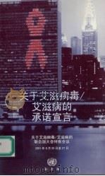 关于艾滋病毒艾滋病的承诺宣言（ PDF版）