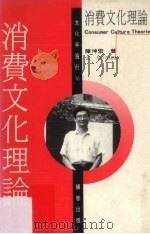 消费文化理论 1995 PDF电子版封面 9579272107 陈坤宏著
