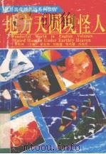 地方天圆现怪人 1993.12 PDF电子版封面 7560505856 吴松林主编