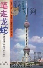 笔走龙蛇 知识分子与城市建设现代化 1994 PDF电子版封面 7806160795 王晓华主编