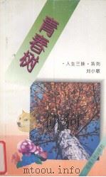 青春树（1995 PDF版）