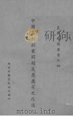 中国农村副业问题及其应用之改进（ PDF版）