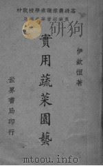 实用蔬菜园艺（ PDF版）