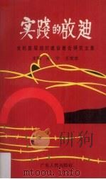 实践的启迪  党的基层组织建设研究文集（1992 PDF版）