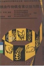 粮油作物病虫害识别与防治（1991 PDF版）