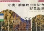 小麦·油菜病虫害防治彩色图册（1991 PDF版）