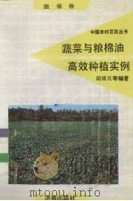 蔬菜与粮棉油高效种植实例（1992 PDF版）